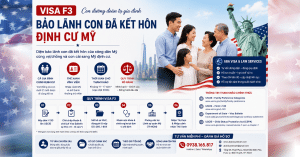 Visa F3