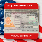 Visa SB1